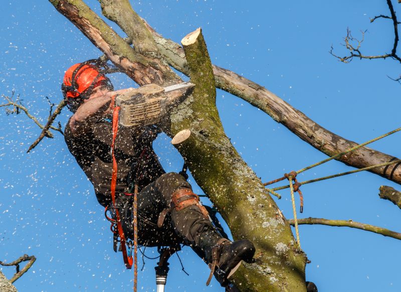 Safety Pruning