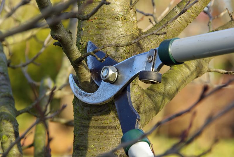 Structural Support Pruning