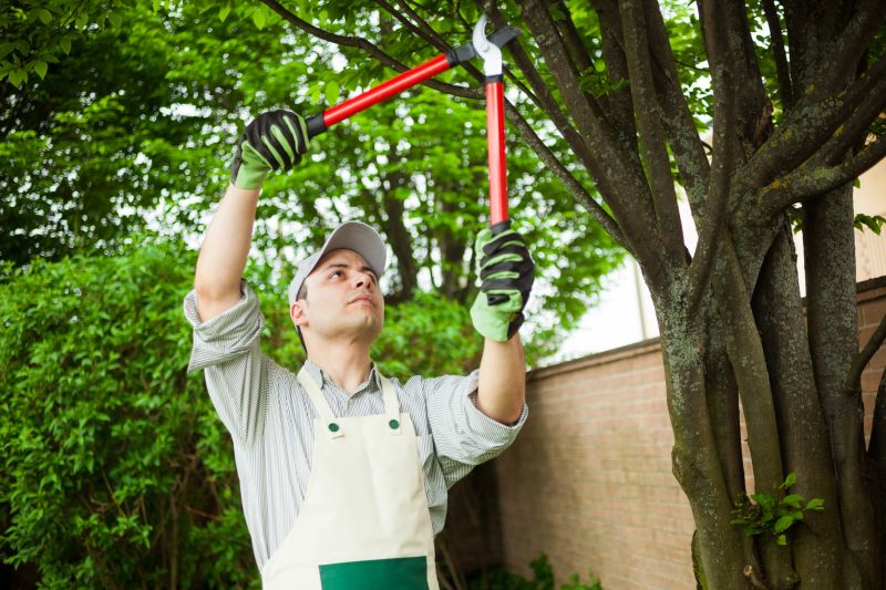 Pruning Healthy Branches